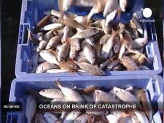 Oceans in crisis: report sets out recommendations