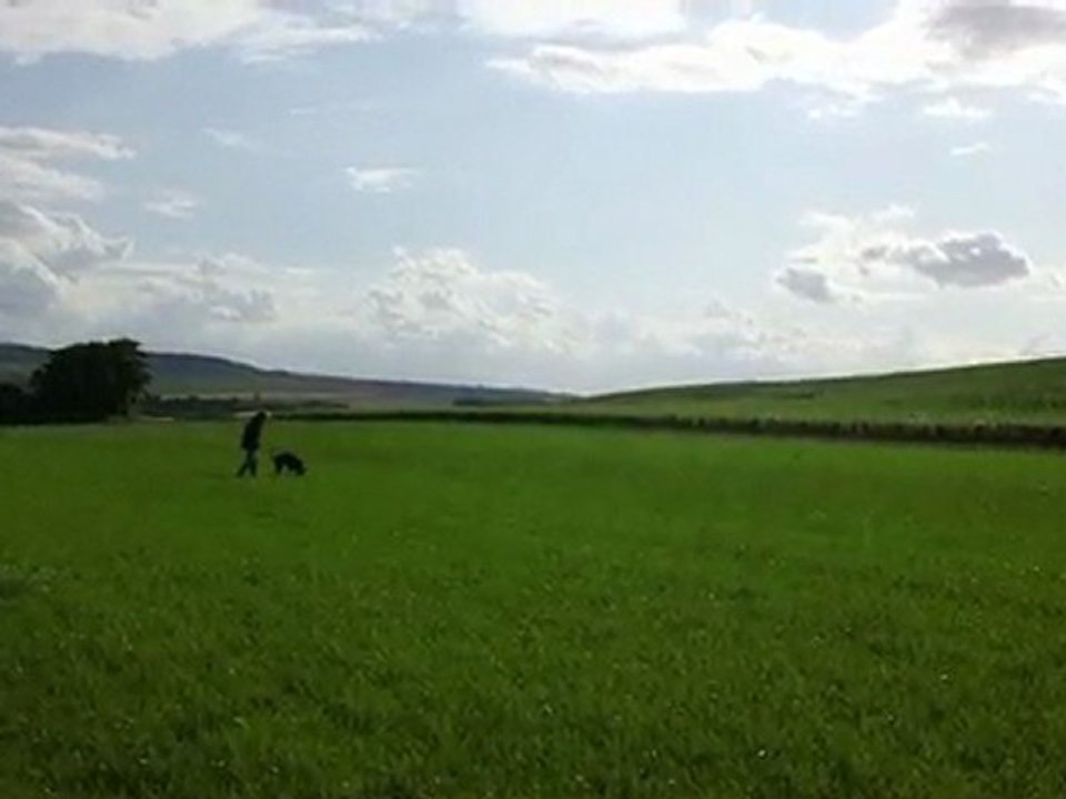 Viona Pistage RCI 10 mois