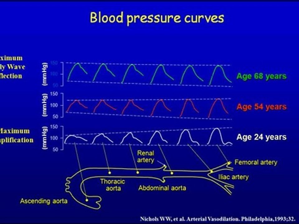 Arterial evaluation in hypertensive patients.