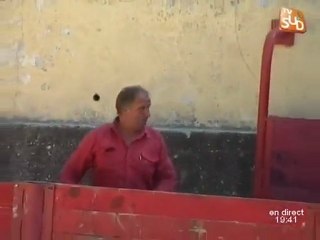 Course camarguaise: Maxime Favier blessé! (Vallabrègues)