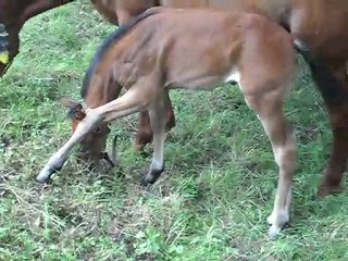 la petite est curieuse ...