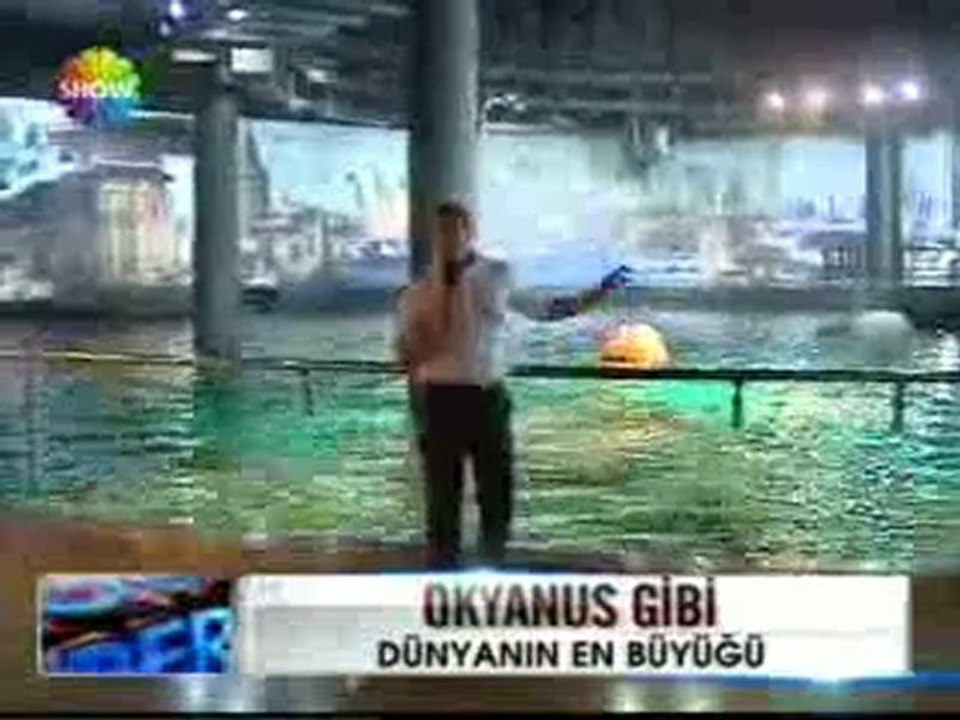 Akvaryum