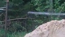 Клёпа