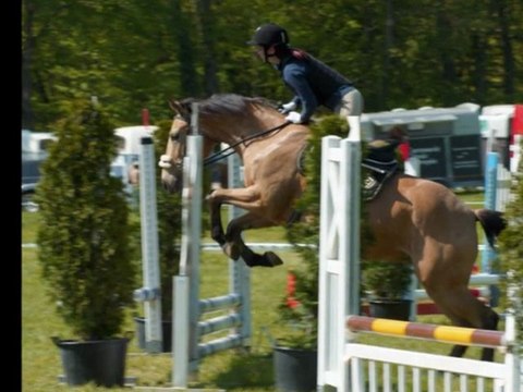 1er concours des pouliches