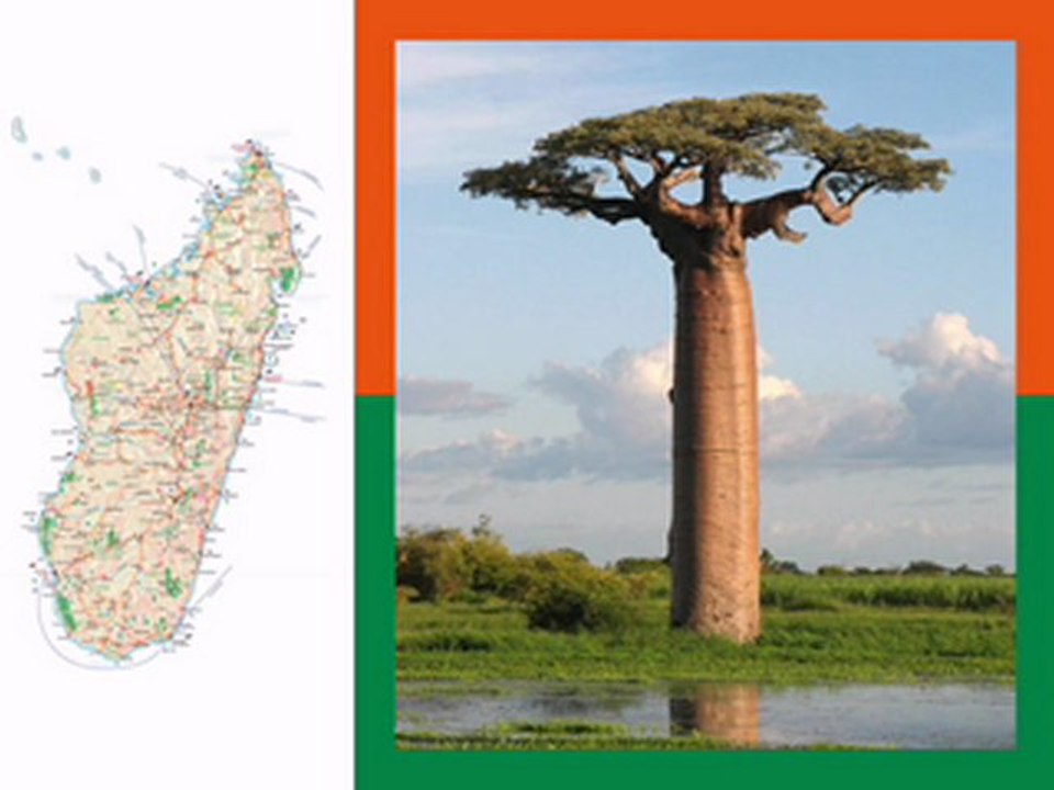 26 juin fête nationale malgache