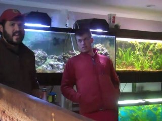 How to find cheap tanks. Planning out a 220 gallon ...