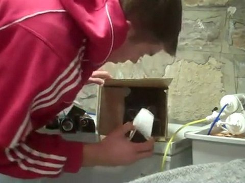 looking at metal halide bulbs. all kinds of bulbs, I ...