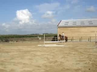 Oppidum de Nerville, Ecuries du bout du monde