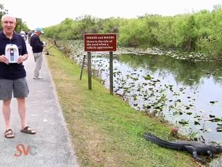 Senior Value Cell Phones: Peace of Mind