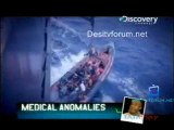 Whale Wars   - 23rd June 2011 Video Watch Online p2