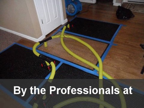 Mold Removal Deerfield Beach Florida