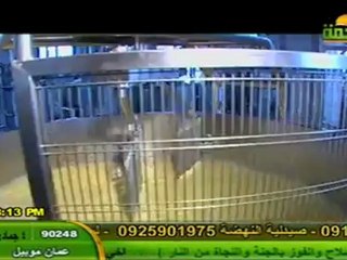 رحمات أ إله مع الله الشيخ محمد حسان