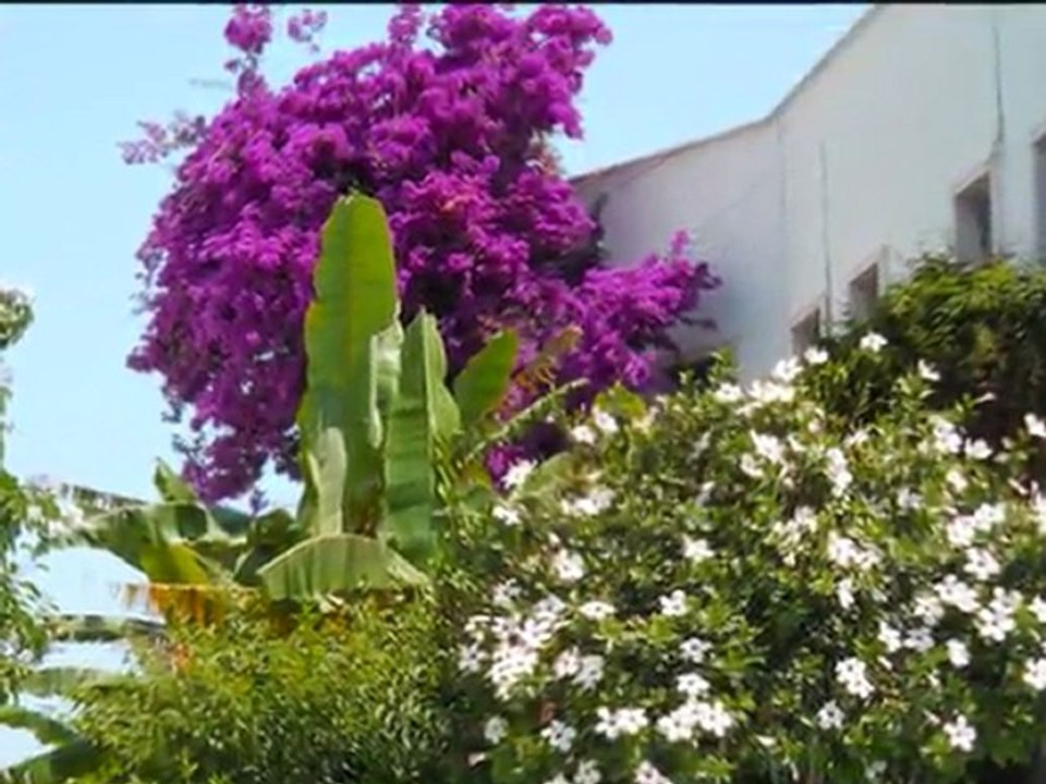 HOTEL MYRINA BODRUM