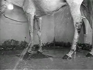 Take another heart ...