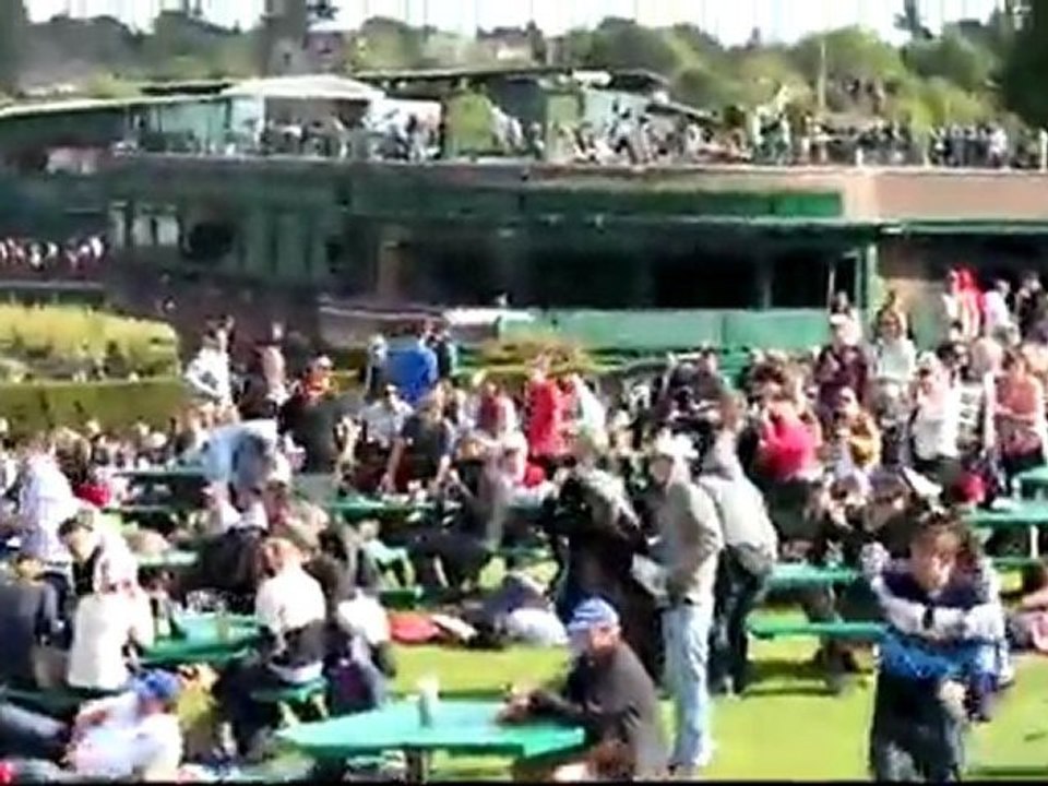 Une attaque d'abeilles sur Wimbeldon