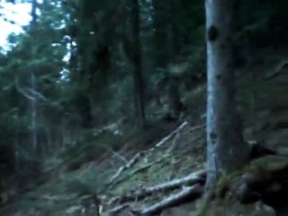 4ème bois 2011 ludoman 14/02 (boisdecerfenvercors)