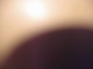 Le jardin d' Emilie - 56