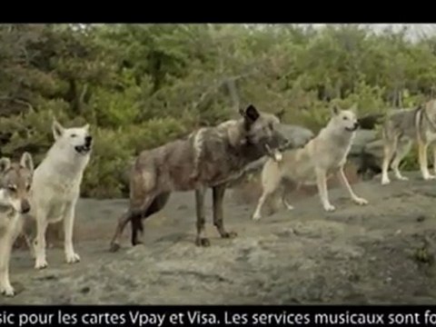 Publicité Société Générale Carte So Music ( Loups BeatBox )