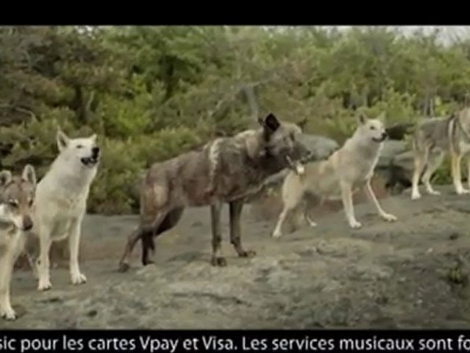 Publicité Société Générale "Carte So Music" ( Loups BeatBox )