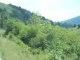 Haut Bugey chants d'oiseaux et vue panoramique Jura Trézillieux