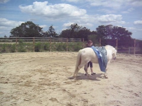 Travail à pied 24 juin