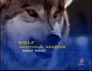 Duelo animal.5/5. Lobo gris vs Puma.exploradoresdelcineonline