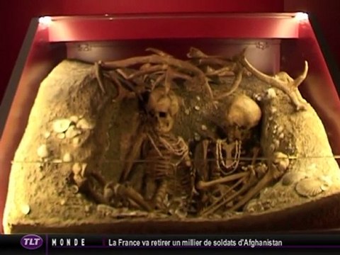 La vie sexuelle de l'homme de Cro-Magnon (Toulouse)