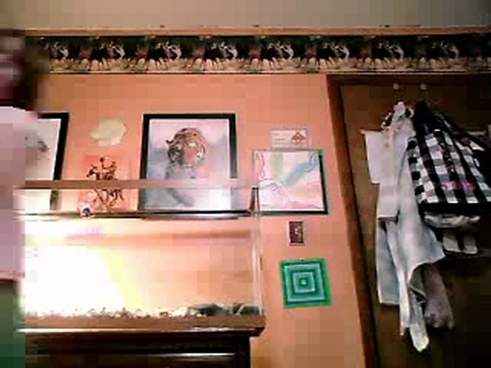 webcam_1308958652038