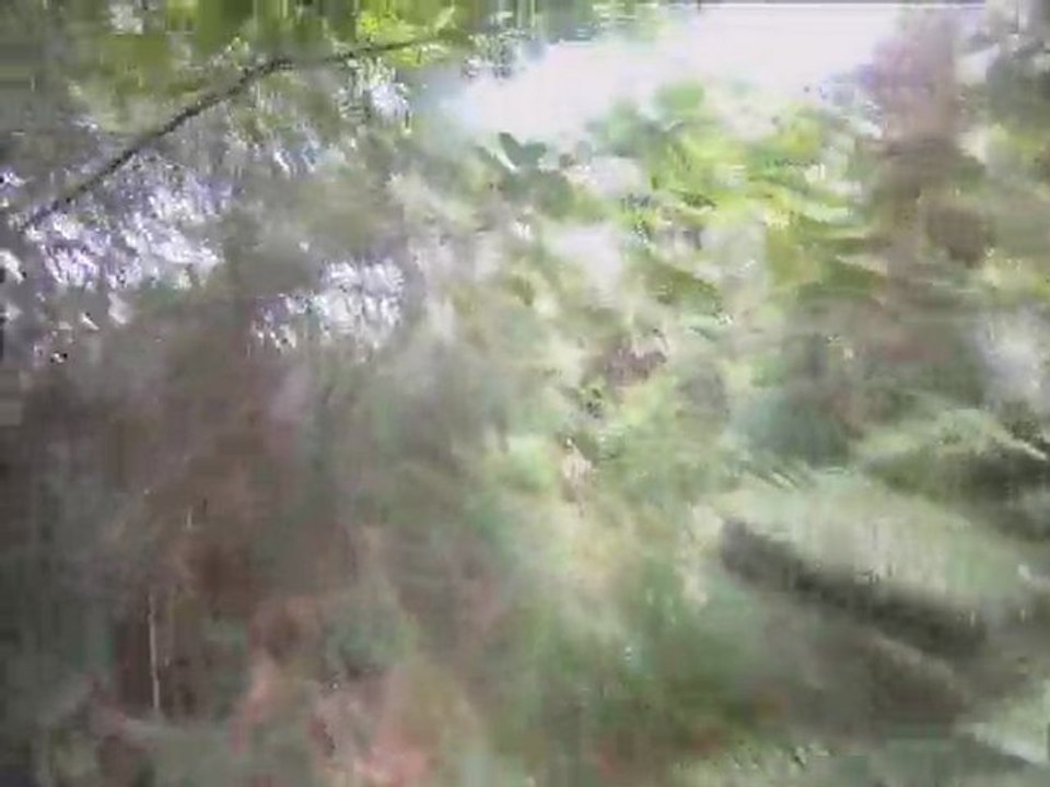 Rando vtt Salies 19 juin 2011 reco Petian 2011