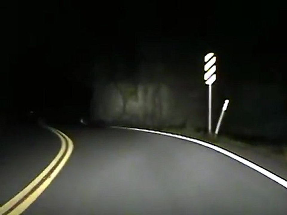 Dashcam Unexpected Kollision mit Bear