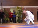 Championnat de France de Kung Fu Traditionnel 2011 (Cléon) 15/36 Armes seniors - Hallebarde 1