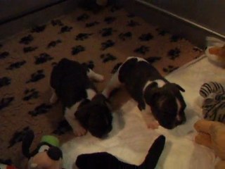 les bébés de célia et Nolan