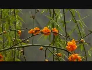 Kazım Koyuncu anlatıyor