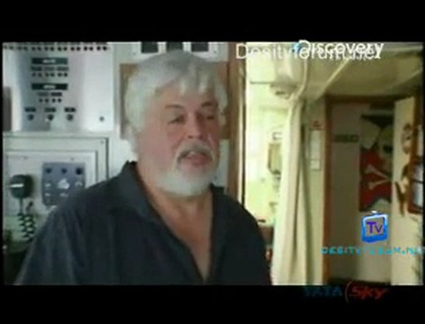Whale Wars - 24th June 2011 Watch Video Online p7