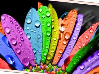 Dursun Ali Erzincanlı / Kapatın Gözlerinizi ve Karanlığı Seyredin