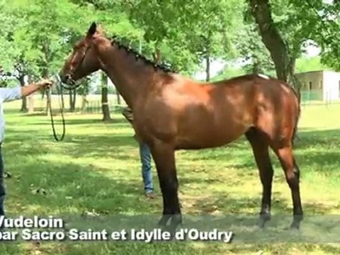 Concours de Paray-le-Monial: 4ème section