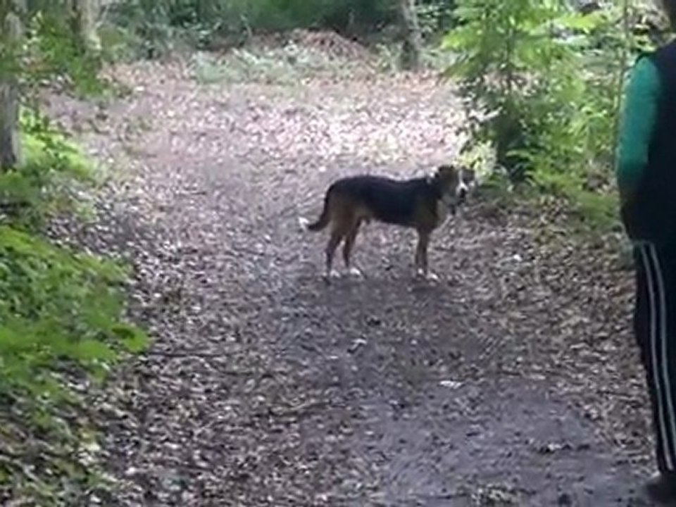 Bläcky am 24.06.2011