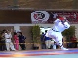 Championnat de France de Kung Fu Traditionnel 2011 (Cléon) 19/36 Armes seniors - Epée 2