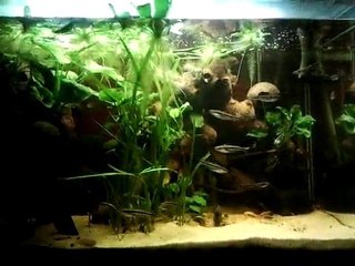 Vidéo0049