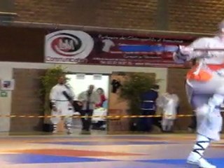 Championnat de France de Kung Fu Traditionnel 2011 (Cléon) 20/36 Armes seniors - Hallebarde 2