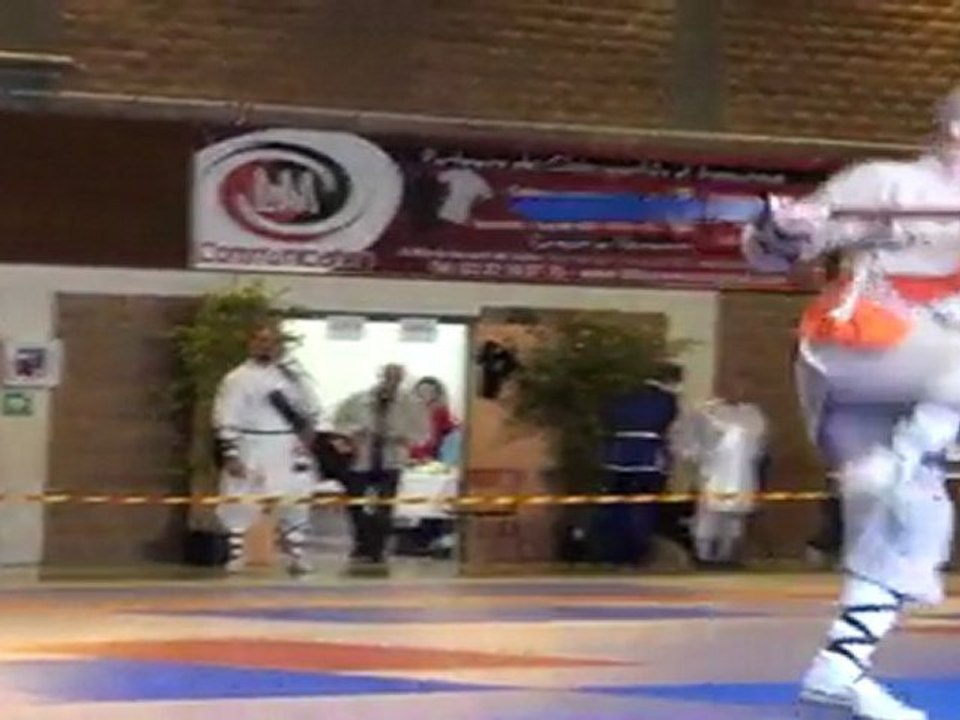 Championnat de France de Kung Fu Traditionnel 2011 (Cléon) 20/36 Armes seniors - Hallebarde 2
