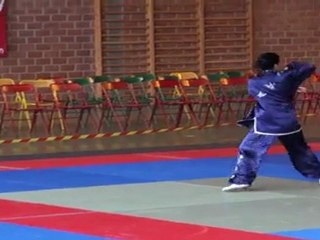Championnat de France de Kung Fu Traditionnel 2011 (Cléon) 24/36 Tao Lu vétéran 1