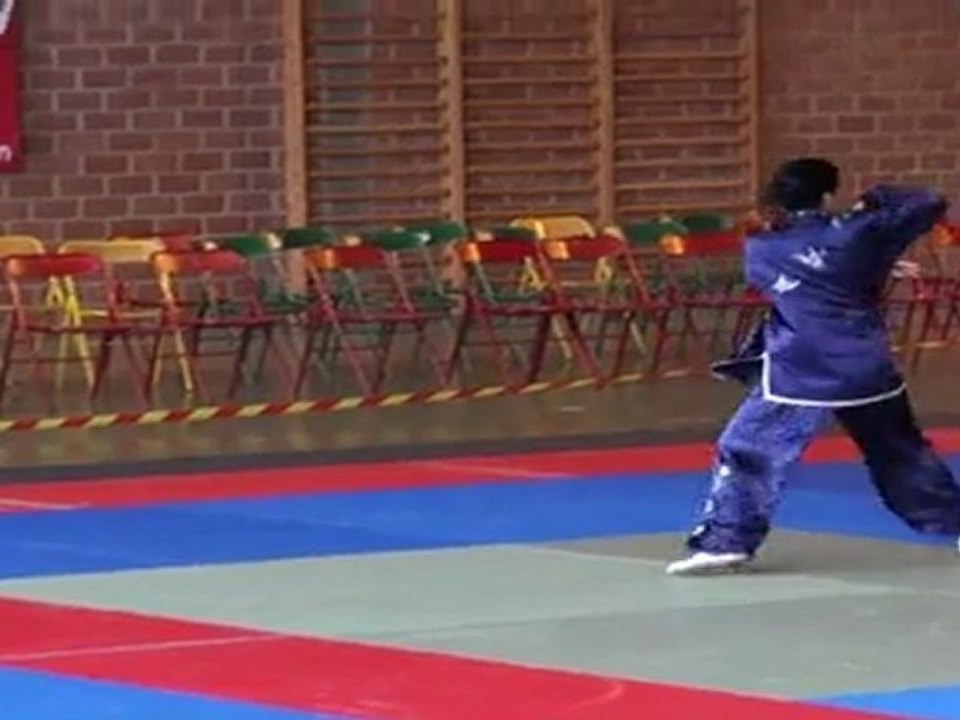 Championnat de France de Kung Fu Traditionnel 2011 (Cléon) 24/36 Tao Lu vétéran 1