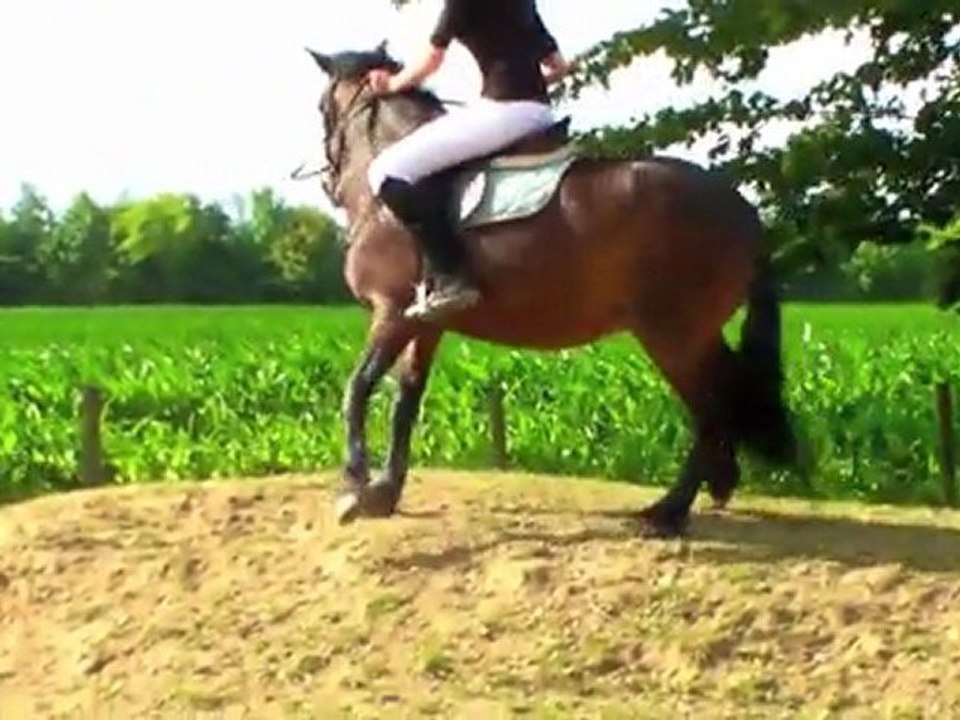 Bêtisier du Shamrock 2