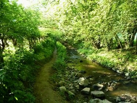 année 2011 - mois d'avril et de mai - nº 23