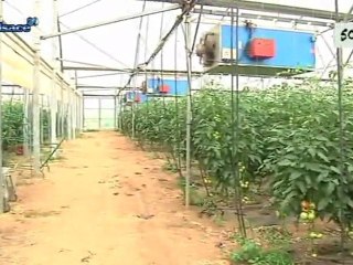 Dépenser plus, pour consommer écolo (Alsace)