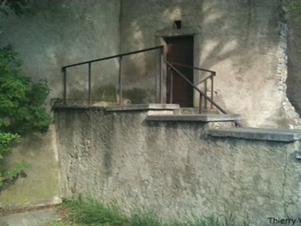 contrat d amitier version 2008