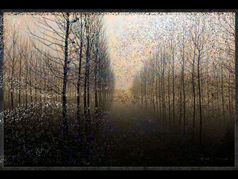 Yaşanmamış Hatıralar(Ümit Yaşar Oğuzcan Şiiri)