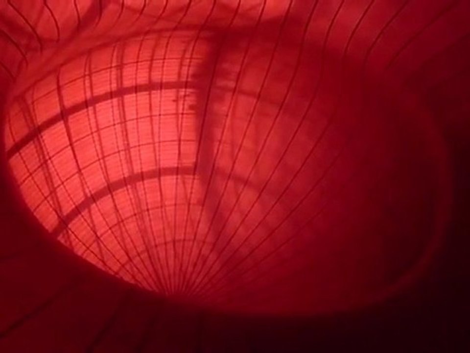 Anish Kapoor - Monumenta 2011 au Grand Palais-1