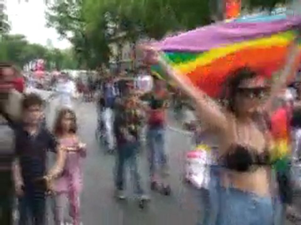 1. PARIS .MARCHE DES FIERTES 2011